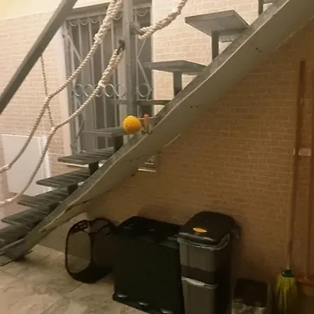 Da Antonio Apartmán Torre Lapillo